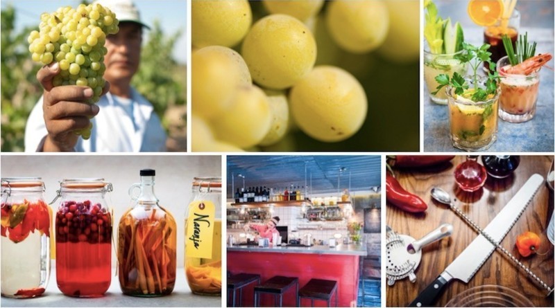 Our Love Affair with Pisco